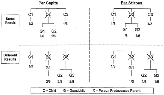 What is the Difference Between "Per Capita" and "Per Stirpes"?